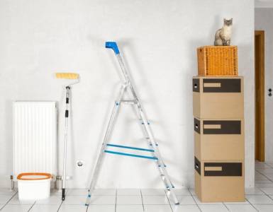 Уборка квартиры от шерсти и запаха кошки